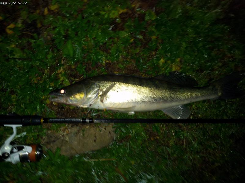 --2012 - ������� (����������)