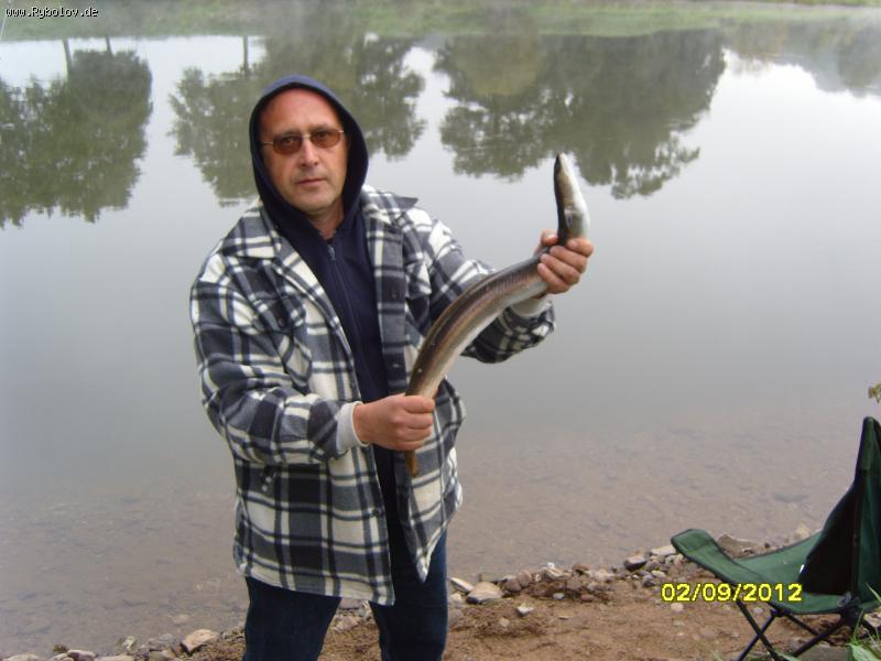 --WESER - ������� (����������)