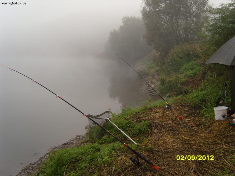 --WESER -  ()