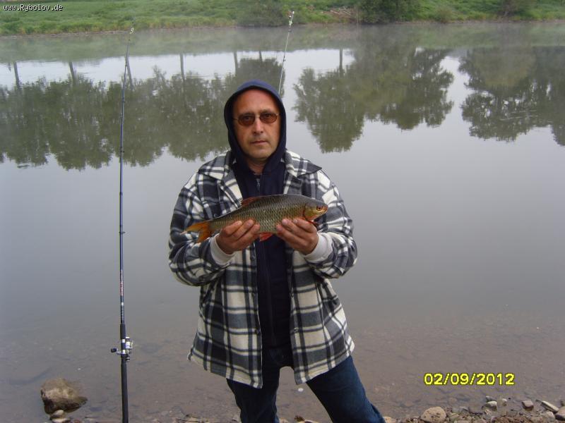 --WESER -  ()