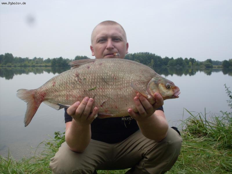 --Donau - ������� (����������)