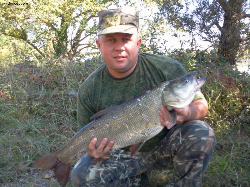 --����� 5��... - ������� (����������)