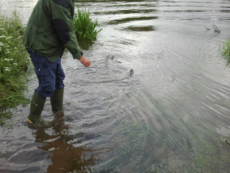 --2012 - ������� (����������)