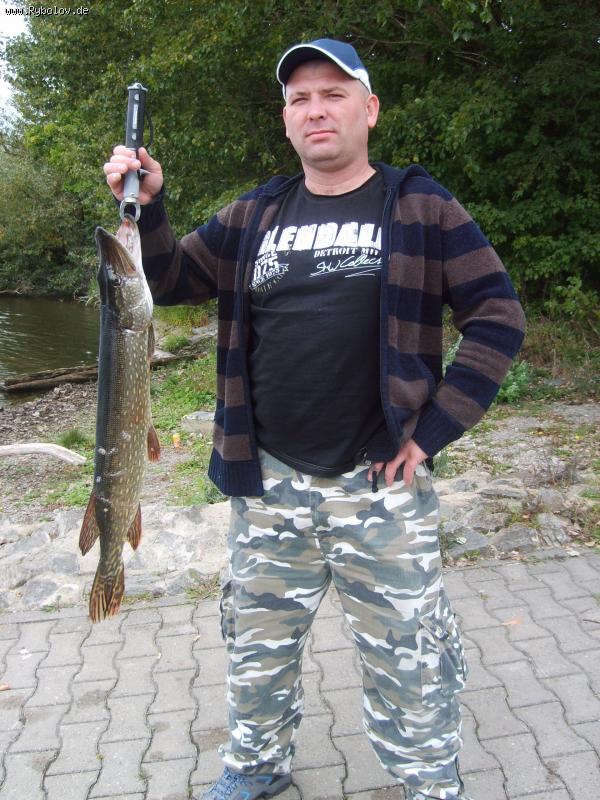 --Monesee - ������� (����������)