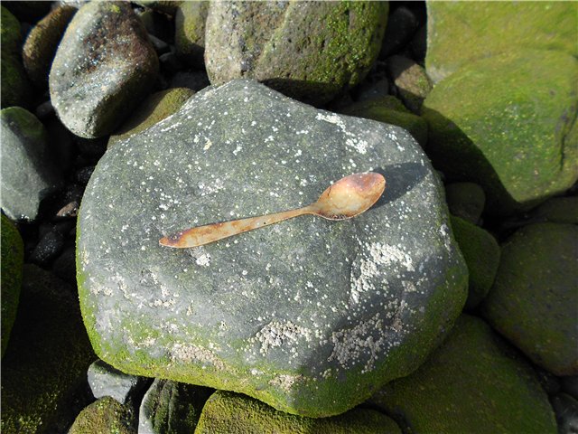 --����� 35 ��� - ������� (����������)