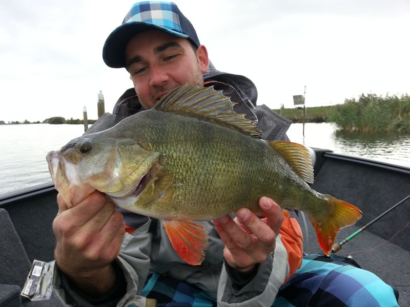 --48er Barsch - ������� (����������)