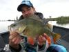 48er Barsch -  ()