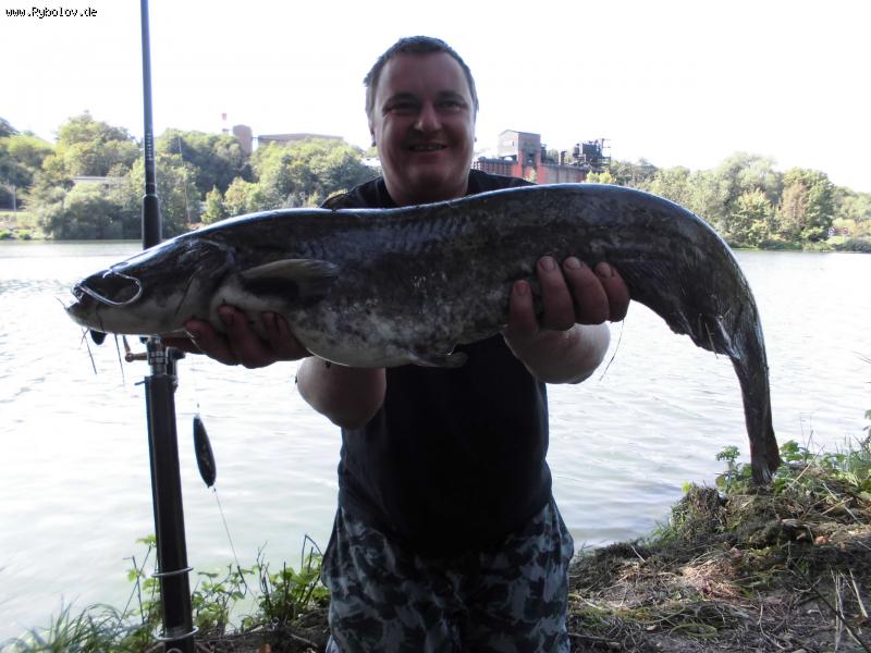 --somik - ������� (����������)