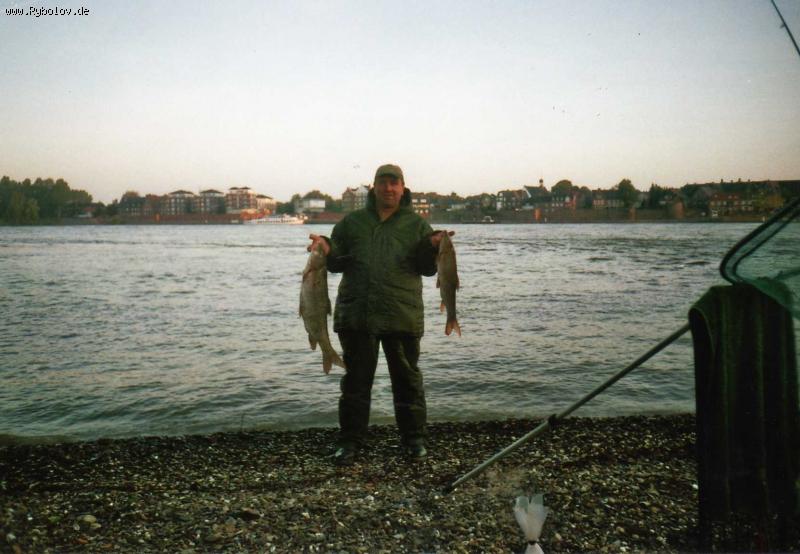 --���� - ������� (����������)