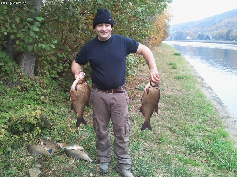 --���������� ���� - ������� (����������)