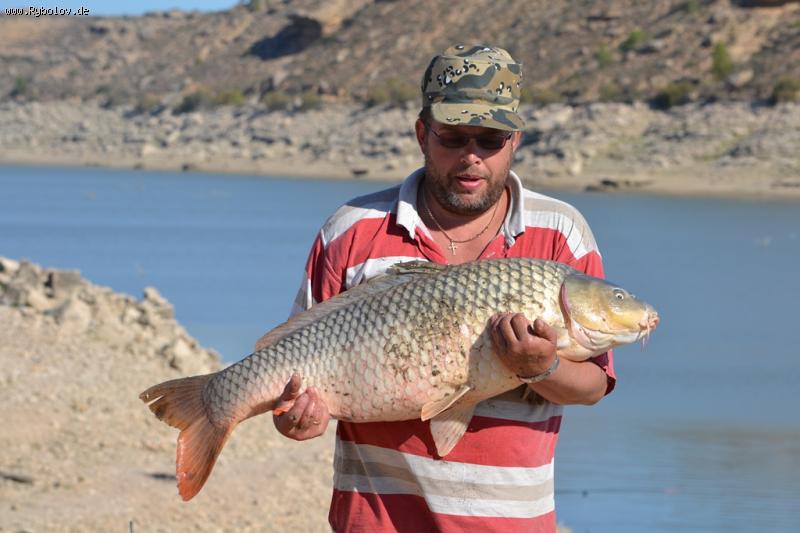 --���� 2012. - ������� (����������)