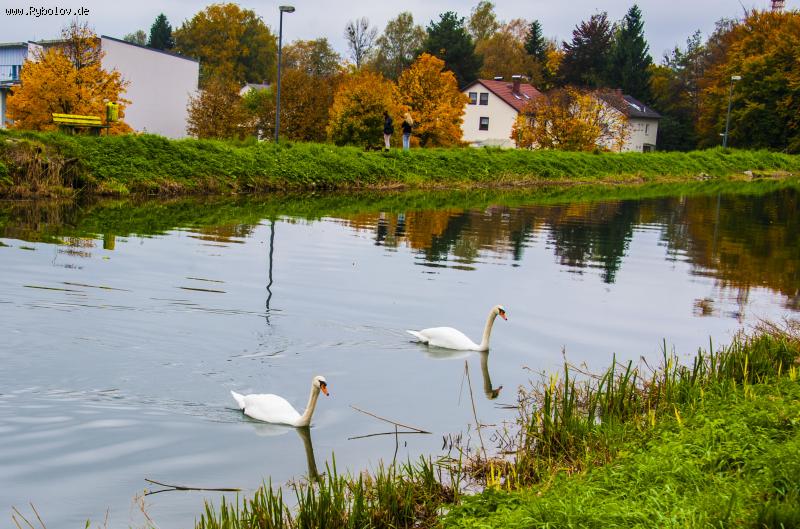 --����� - ������� (����������)