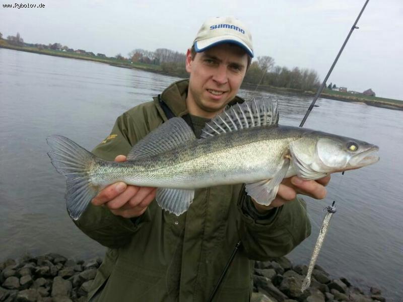 --2012 - ������� (����������)