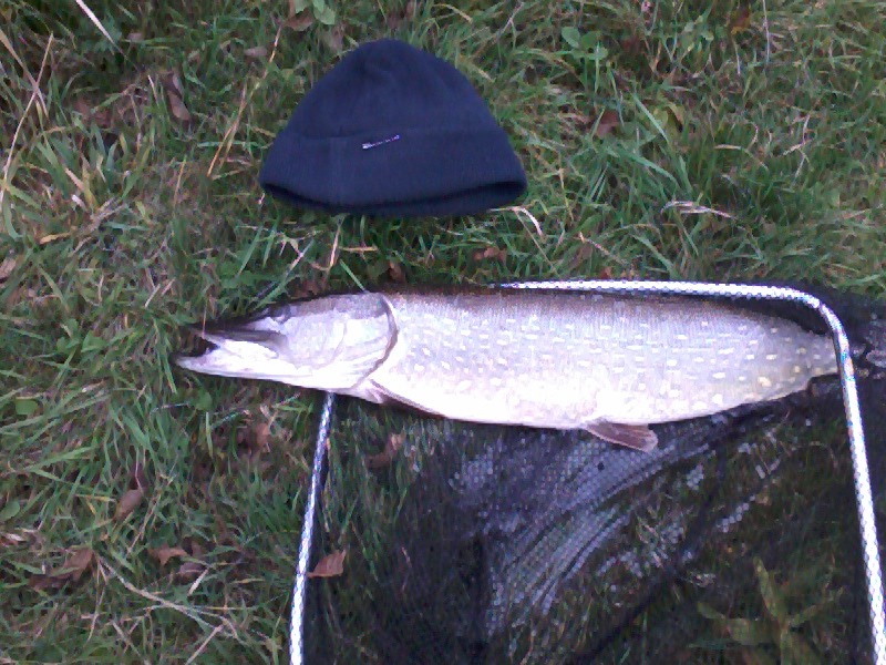 --������ � ��������� ���� - ������� (����������)