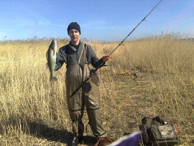 --����� - ������� (����������)