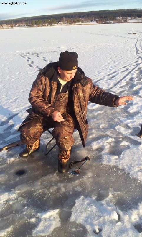 --sweden 2013 - ������� (����������)