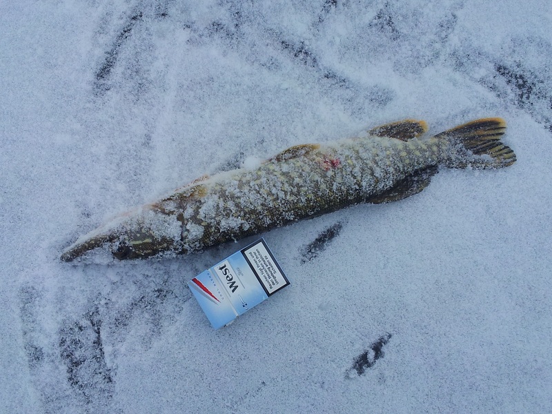 --������.. - ������� (����������)