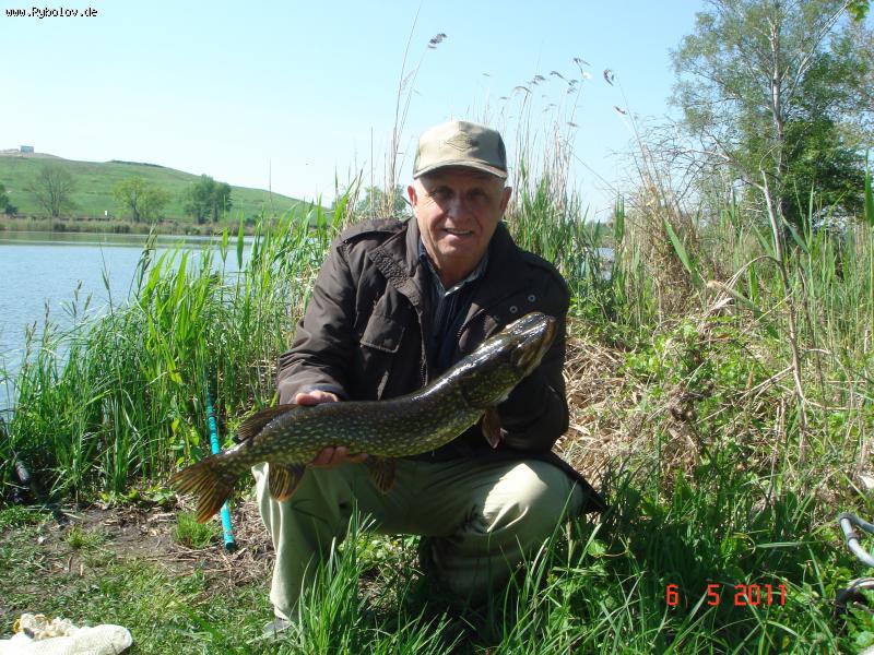 --����. - ������� (����������)