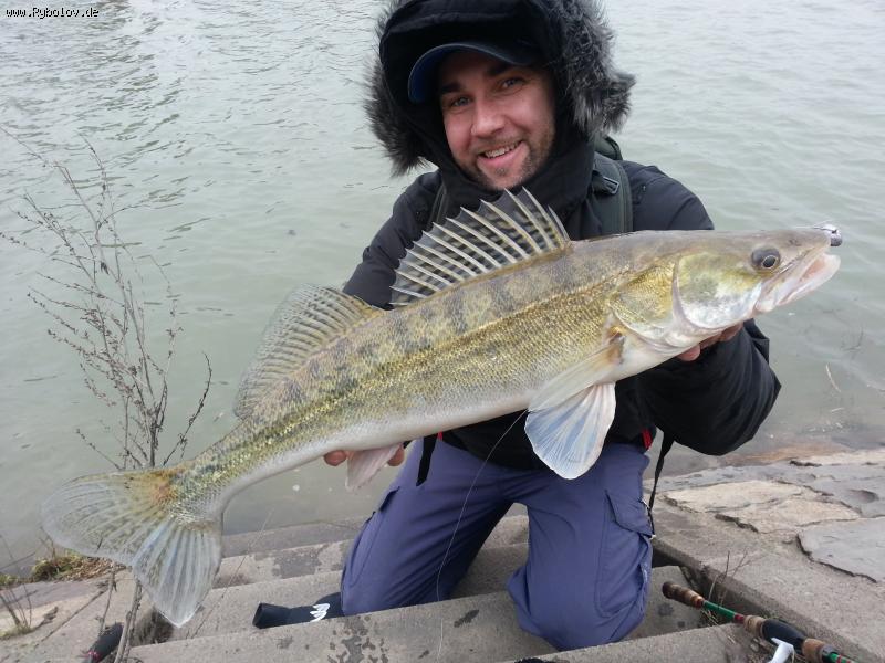 --Winter Zander -  ()