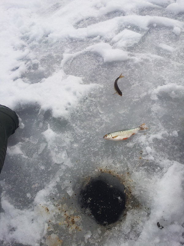 --24.02.13 - ������� (����������)