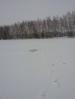 24.02.13 - ������� (����������)