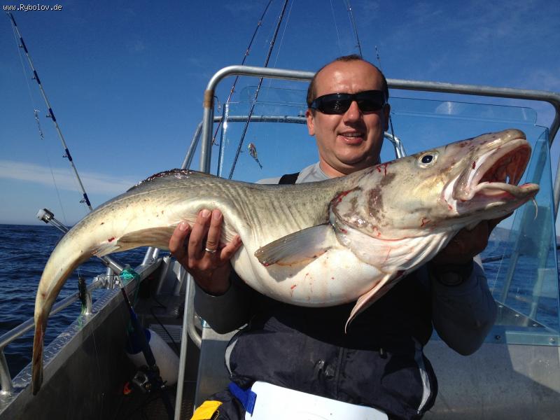 --�������� - ������� (����������)