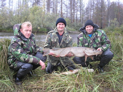 --���� - ������� (����������)