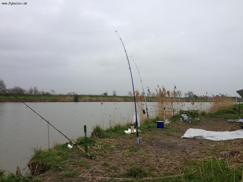 --� �������� ������� - ������� (����������)