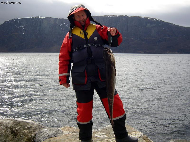 --��� �� ����? - ������� (����������)