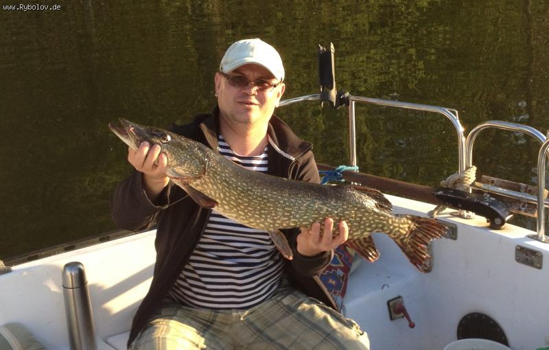 --.  85 .  2\" Swing Impact + UltraLite LunkerGrips 3.5g !!! -  ()