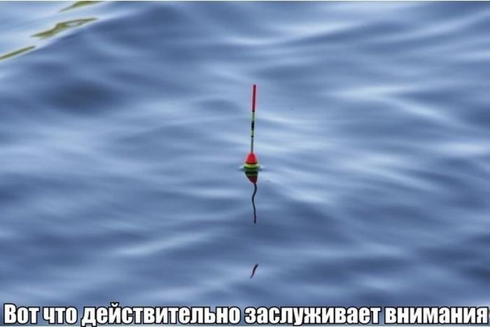 --��� �� ������� - ������� (����������)