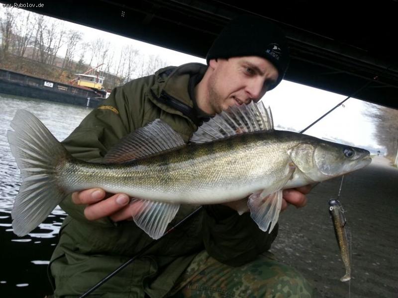 --2013 - ������� (����������)