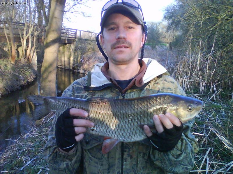 --������� (Döbel) 54 �� Saale - ������� (����������)