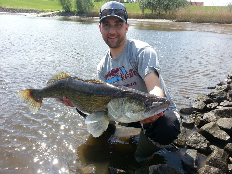 --90ziger Elb Zander - ������� (����������)