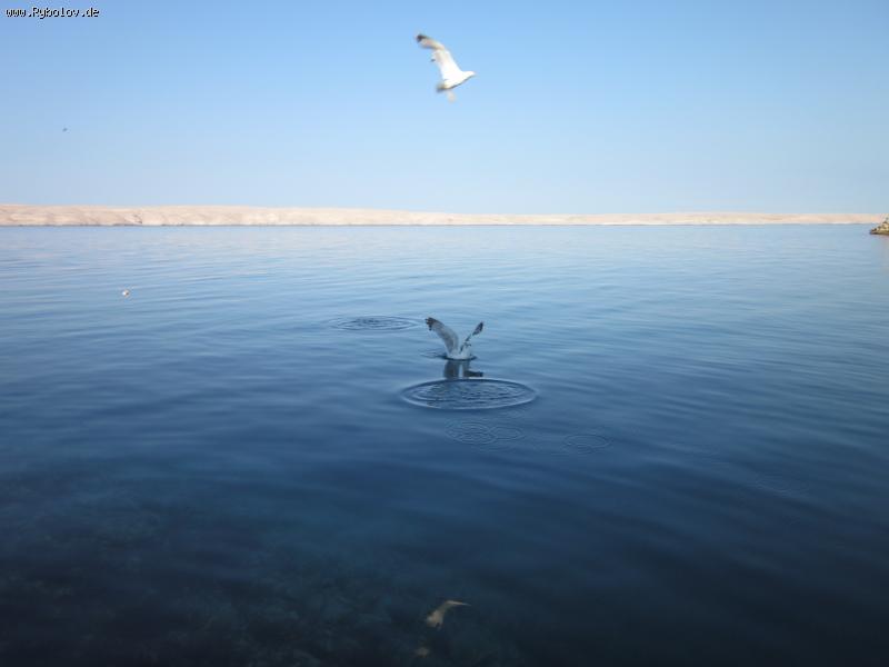 --�������� ������� - ������� (����������)