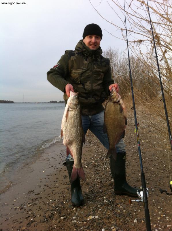 --���� �������� - ������� (����������)