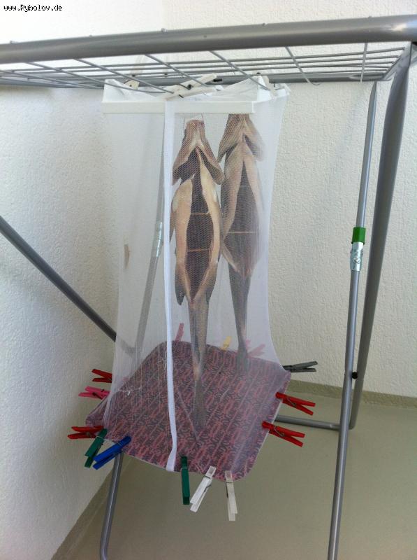 --����� �� ������� - ������� (����������)