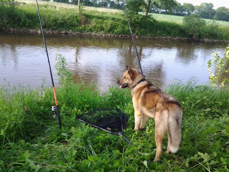 --��� - ������� (����������)