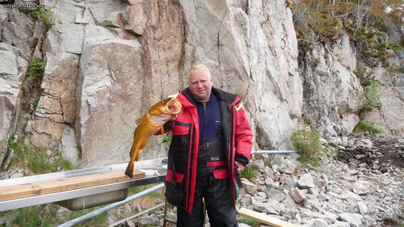 --Norwegen 2013 - ������� (����������)