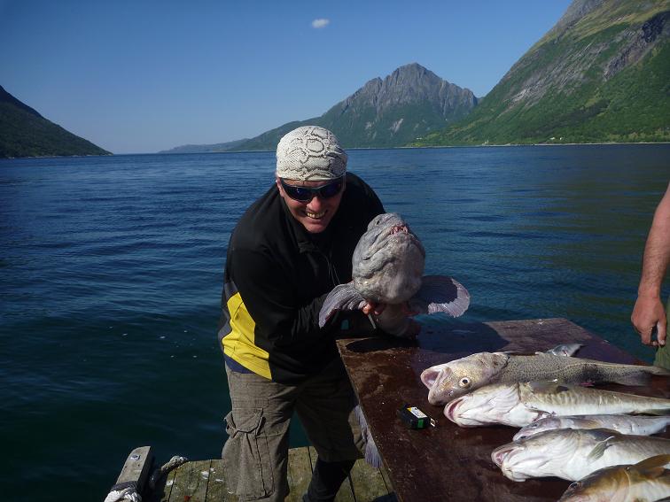 --Steinbeiser - ������� (����������)