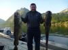 Record Dorsche -  ()