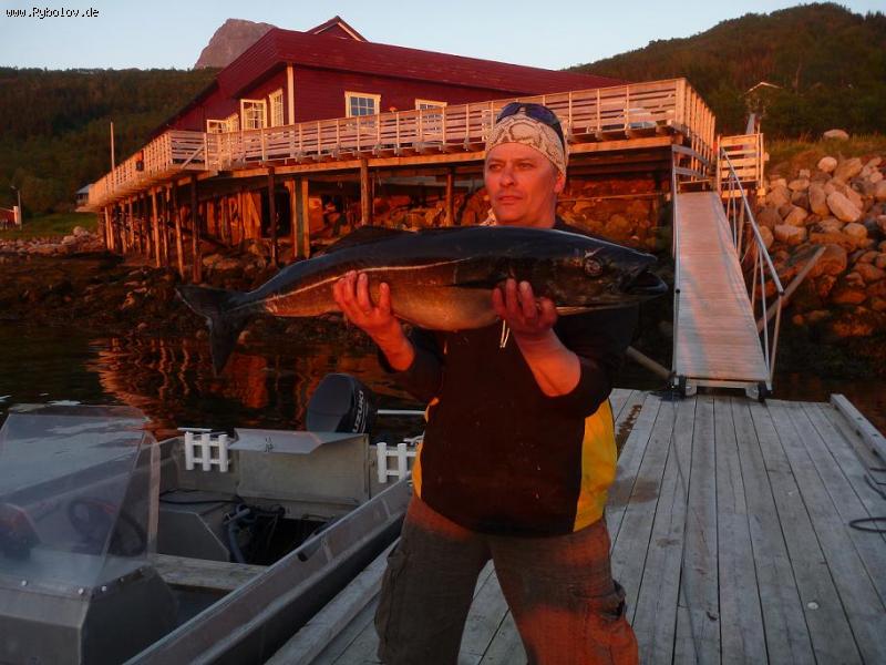 --K&#246;hler 98 sm -  ()