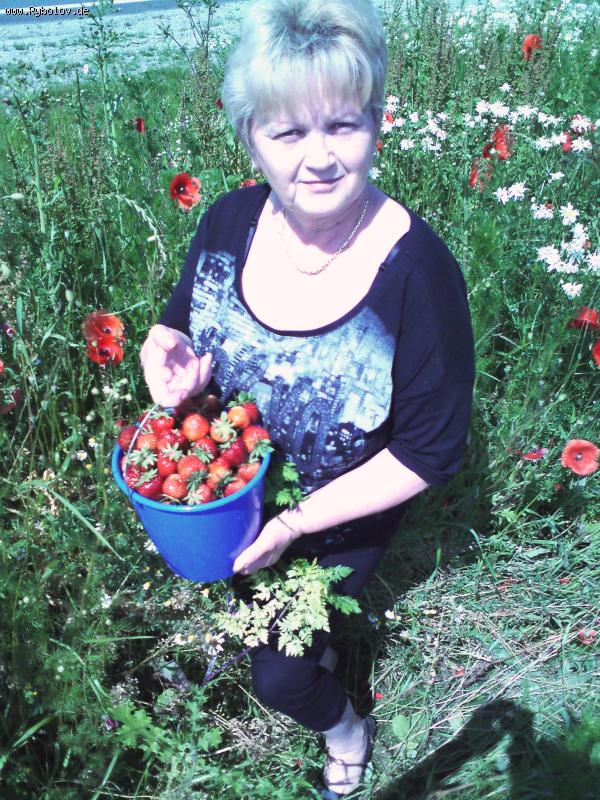 --���� - ������� (����������)