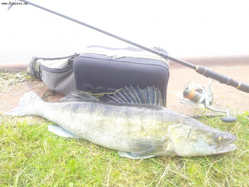 --2013 - ������� (����������)