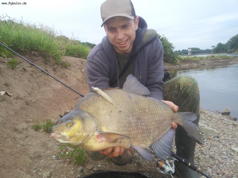 --2013 - ������� (����������)