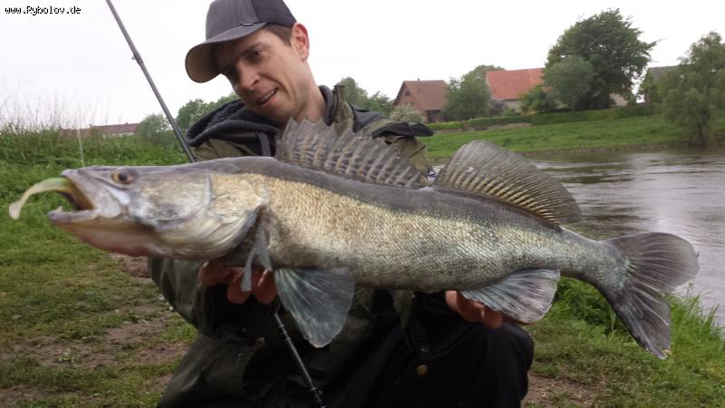 --2013 - ������� (����������)