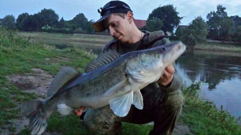 --2013 - ������� (����������)