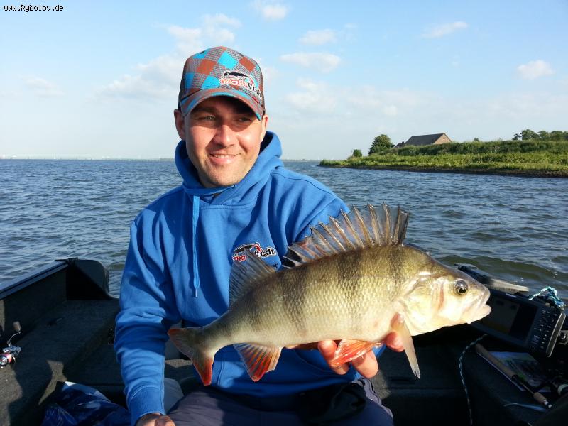 --Barsch - ������� (����������)