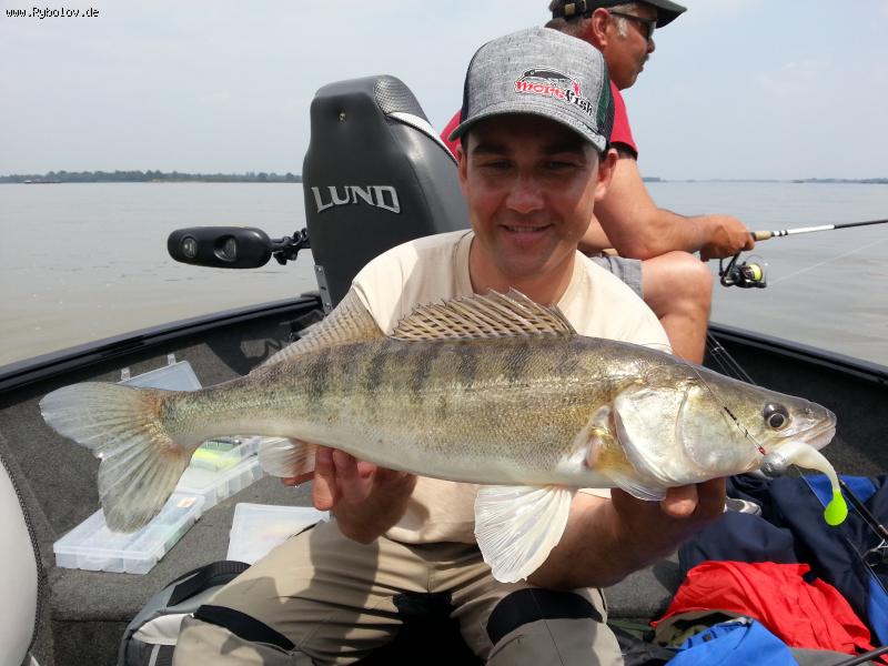 --Zander 132 - ������� (����������)