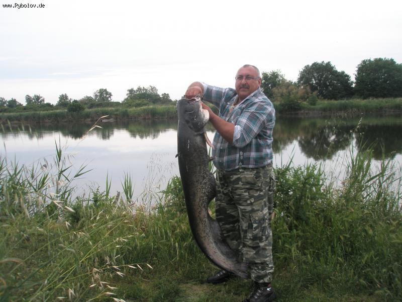 --som - ������� (����������)